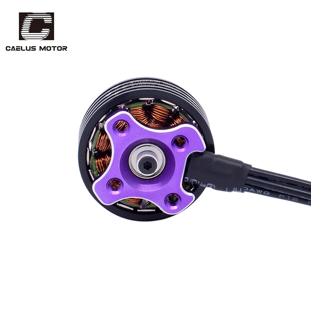 Starry 2306 - Image 5