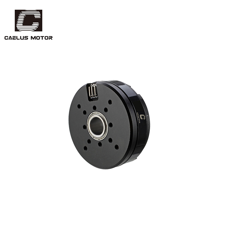 BGM5208-200HS Gimbal Motor