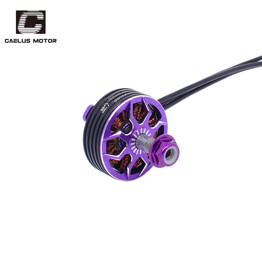 Starry 2306 - Image 4